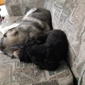 Meet your Posher, Francine